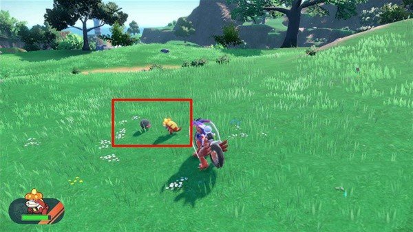 口袋妖怪朱紫手机版最新版