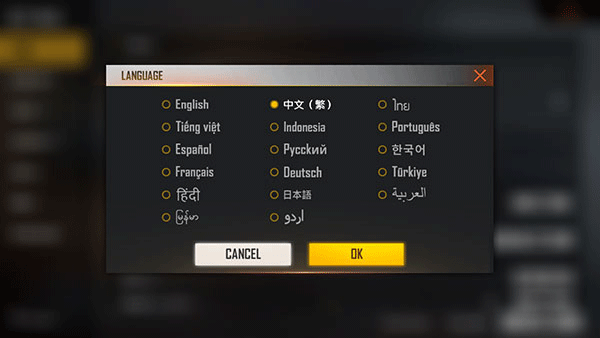 自由开火战场国际服