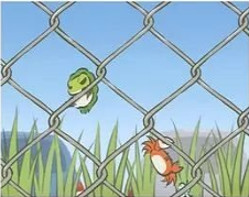 旅行青蛙最新版本