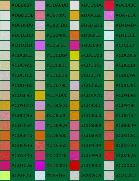 天空纪元果盘版