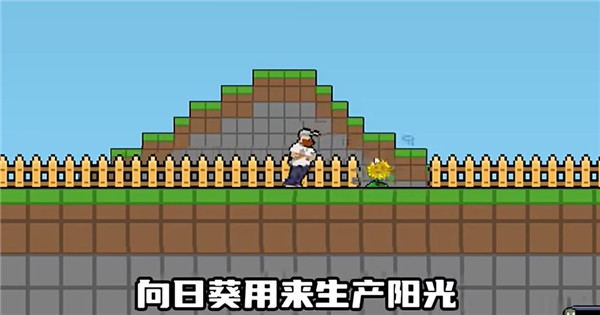 植物大战僵尸