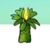 植物大战僵尸 融合1.0魔改版