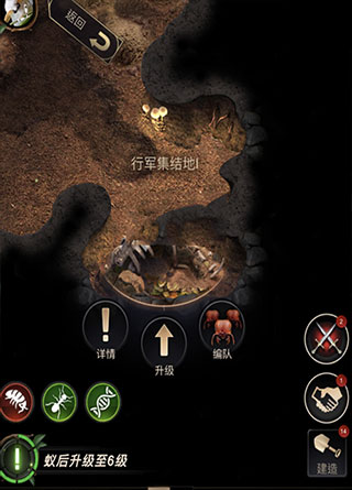 小小蚁国37手游