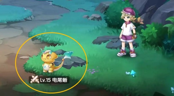 西普大陆九游版