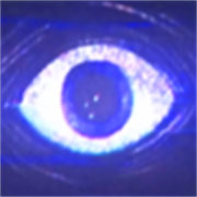 波比的游戏时间第五章 无广告版