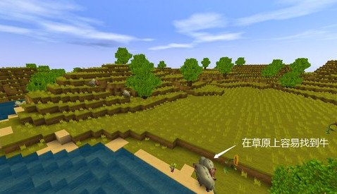 迷你世界不用实名认证版最新版