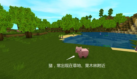 迷你世界不用实名认证版最新版