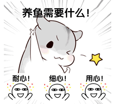 萌鱼泡泡游戏最新版