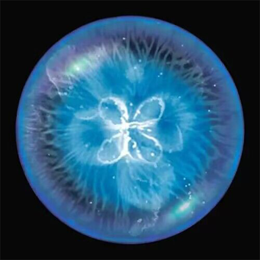 全民星球模拟器 手机版