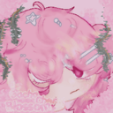 加查樱花官方正版