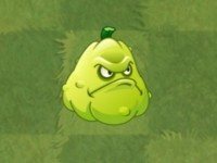 植物大战僵尸亚马逊英文版