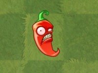 植物大战僵尸亚马逊英文版