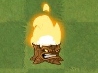 植物大战僵尸亚马逊英文版