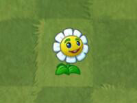 植物大战僵尸亚马逊英文版