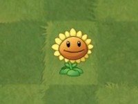 植物大战僵尸亚马逊英文版