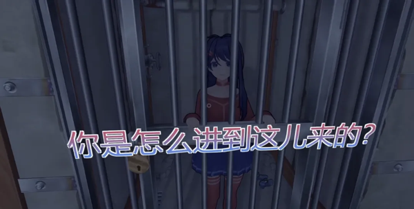 米塔 官方正版