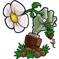 植物大战僵尸转基因版 2025最新版