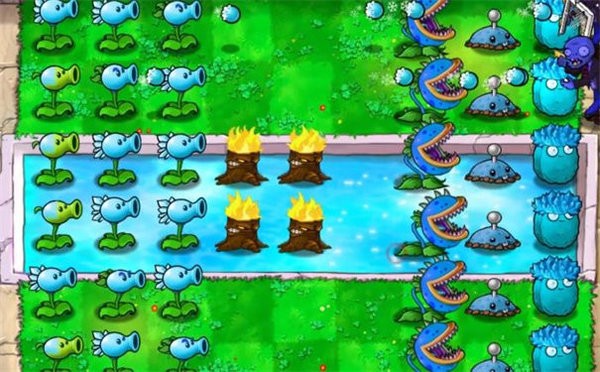 植物大战僵尸寒冰直装版