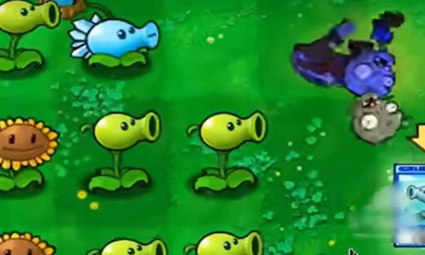 植物大战僵尸抽卡版