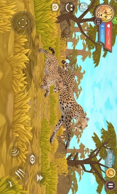 3D动物模拟器 国际服