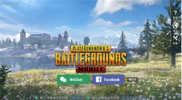 pubg国际服