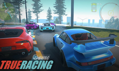 OWRC：开放世界赛车 最新版